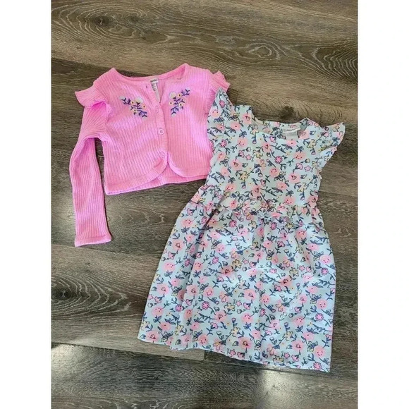 Daisy Fuentes Toddler Girl Dress and Sweater 3t‎ Set Floral #2 - Picture 1 of 4